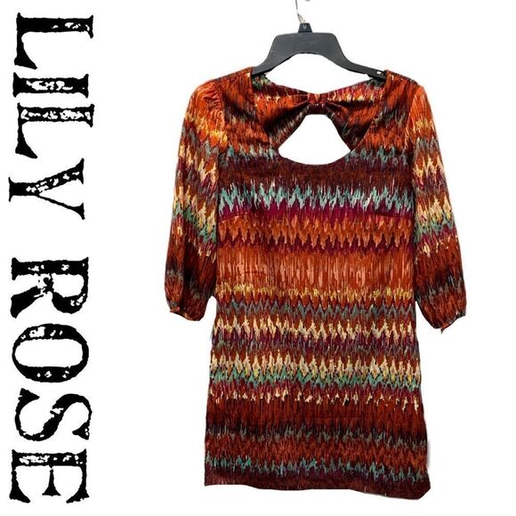 NEW LILLY ROSE xs Fall dress size Xs - Picture 2 of 14